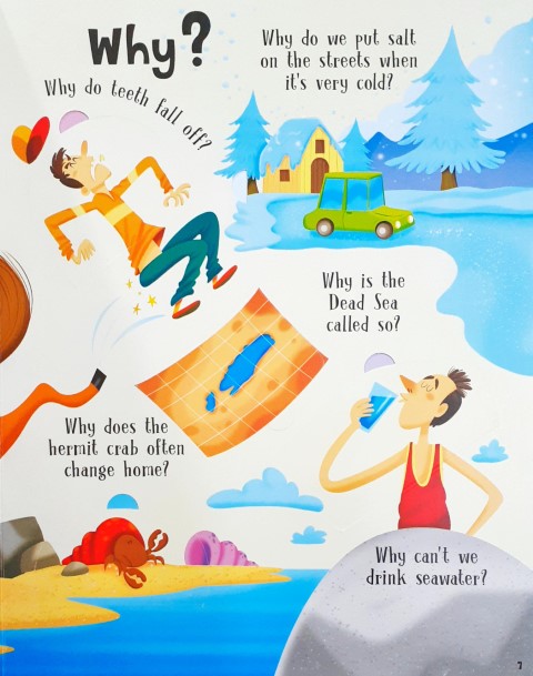 Lift A Flap Book Amazing & Curious Facts about the World