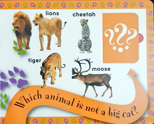 Lift the Flap Fun Wild Animals