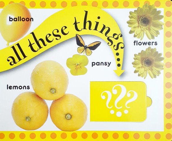 Lift the Flap Fun Colours