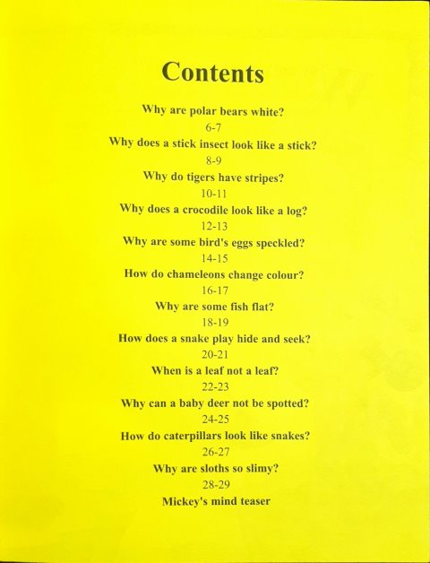 Disney Mickey Wonders Why - Animal Camouflage