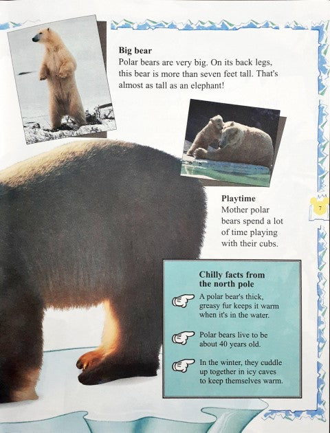 Disney Mickey Wonders Why - Animal Camouflage