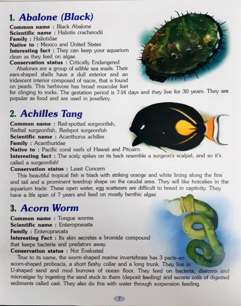 221 Amazing Marine Animals Encyclopedia
