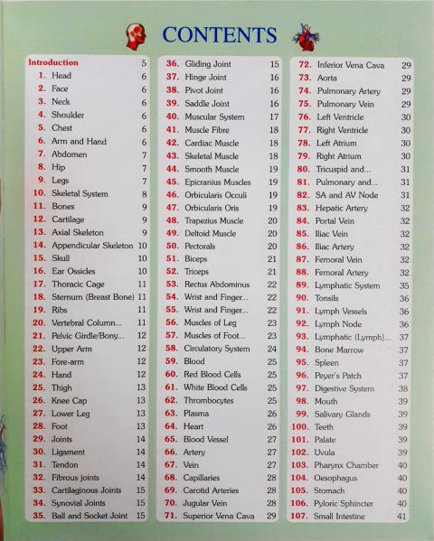 221 Human Body Parts Encyclopedia