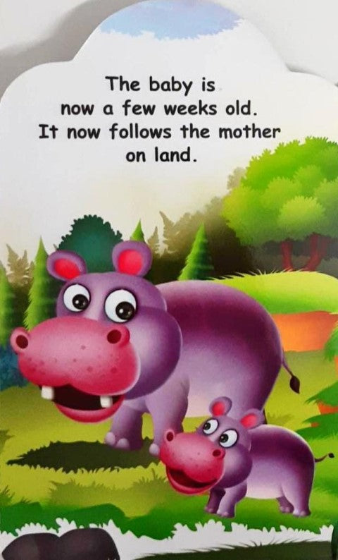 The Baby Hippo - A Baby Animal Story Book