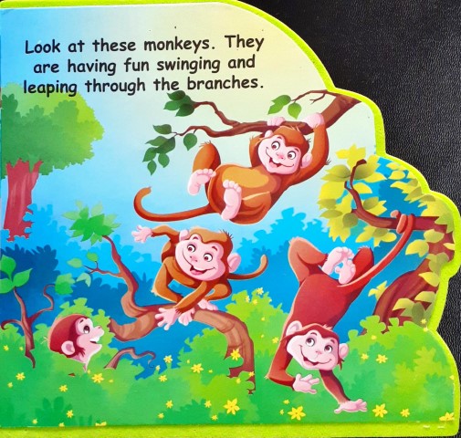 Let's Go To Jungle Safari