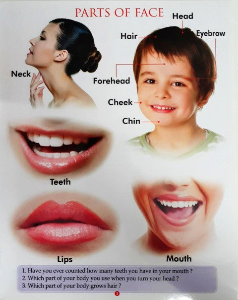 My First Book of Body Parts Wipe And Clean