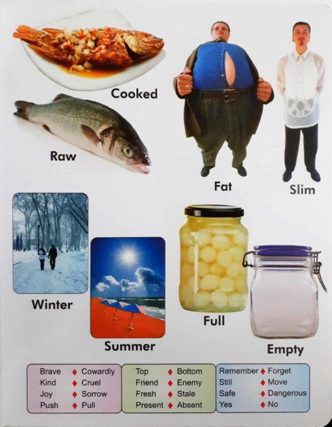 My First Board Book of Opposites - Wipe & Clean