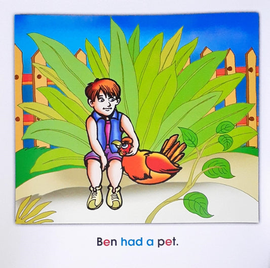 Phonics Story Time Library Meg The Hen