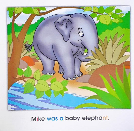 Phonics Story Time Library Mike's Flight
