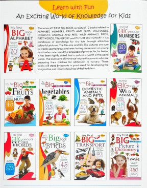 My First Big Book Of Numbers