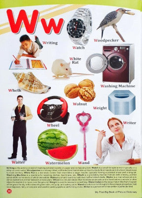 My First Big Book of Picture Dictionary