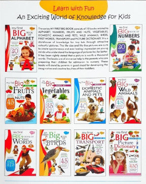 My First Big Book Of First Words