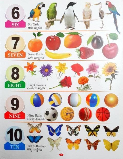 My First Board Book All In One (English & Kannada) - Wipe & Clean