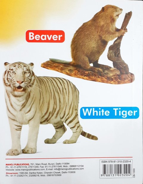 My First Board Book Big Picture Wild Animals - Wipe & Clean