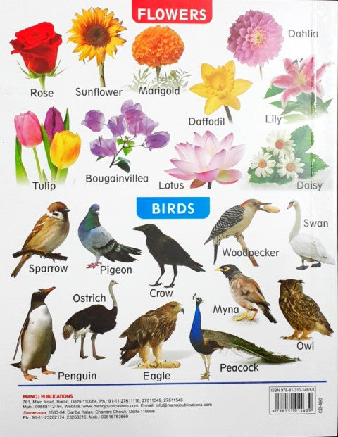 My First Board Book of Four In One - Wipe & Clean