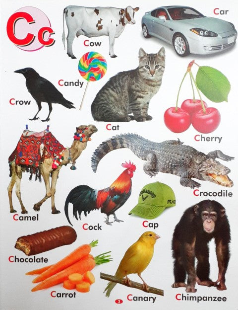 My First Board Book of ABC Picture Dictionary - Wipe & Clean