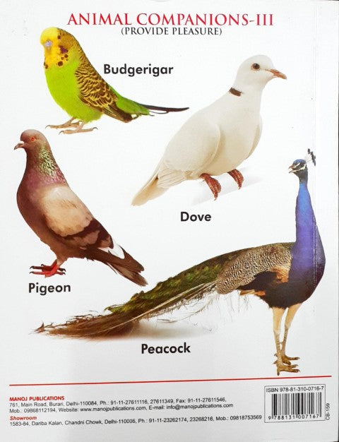 My First Board Book of Domestic Animals - Wipe & Clean