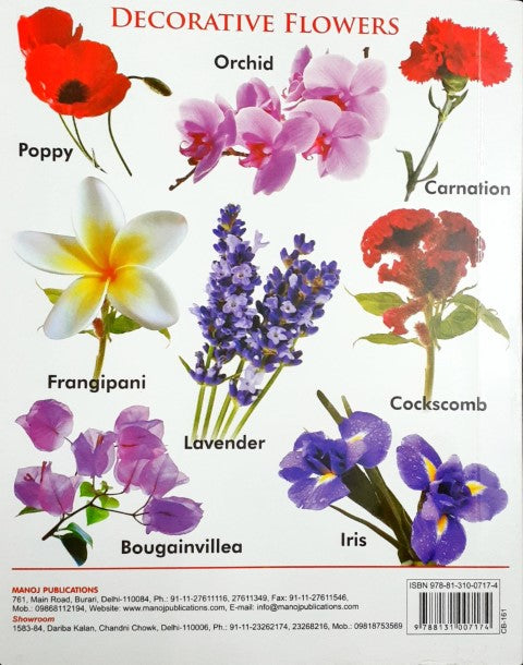 My First Board Book of Flowers - Wipe & Clean