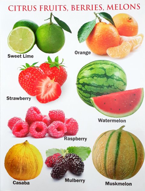 My First Board Book of Fruits - Wipe & Clean