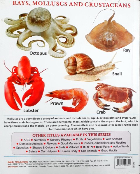 My First Board Book of Sea Animals - Wipe & Clean