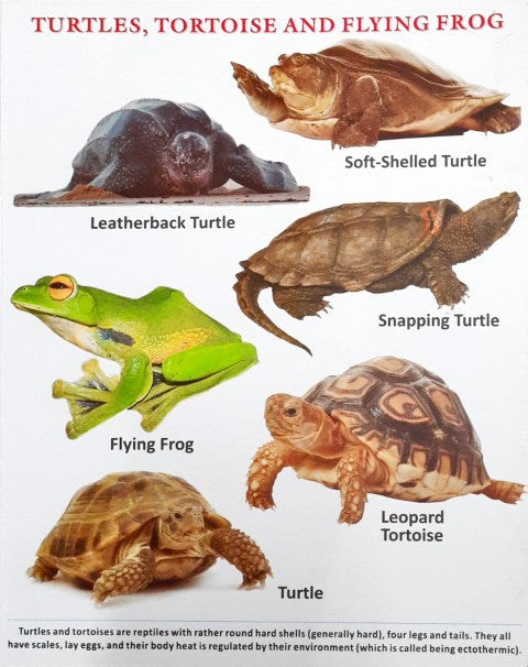 My First Board Book of Sea Animals - Wipe & Clean