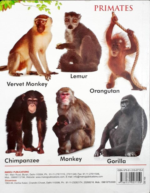 My First Board Book of Wild Animals - Wipe & Clean