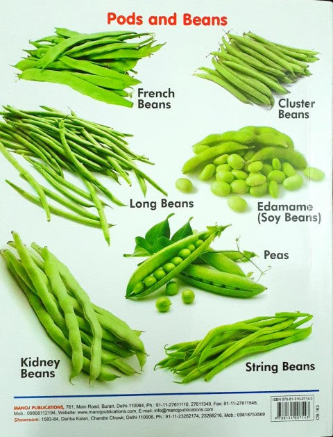 My First Board Book of Vegetables - Wipe & Clean