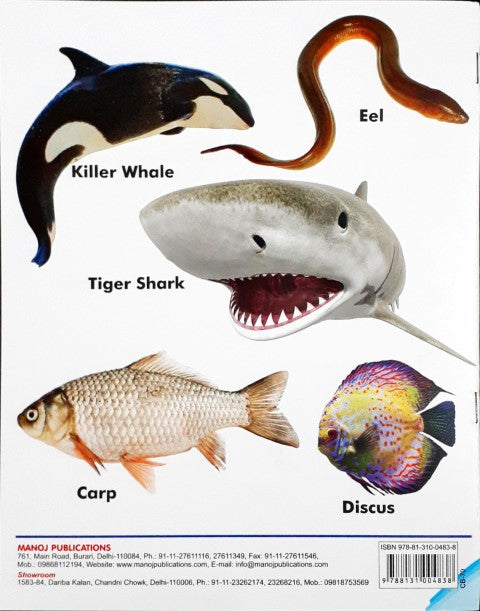 My First Book of Fish Wipe And Clean