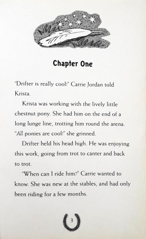 My Magical Pony 2 Silver Mist