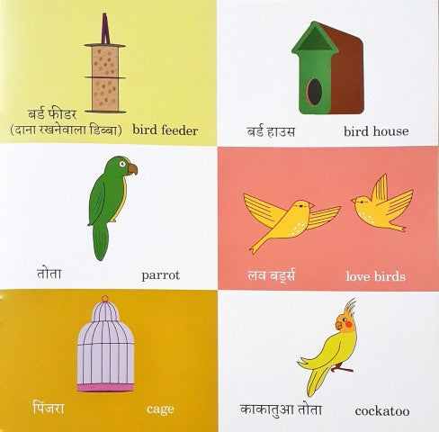 Naisha Gayi Animal Shelter