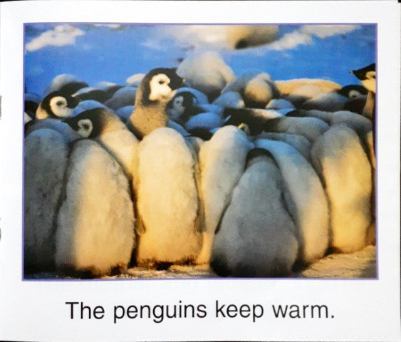 Penguins