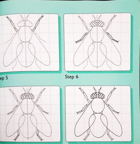 Quick Draw - Minibeasts
