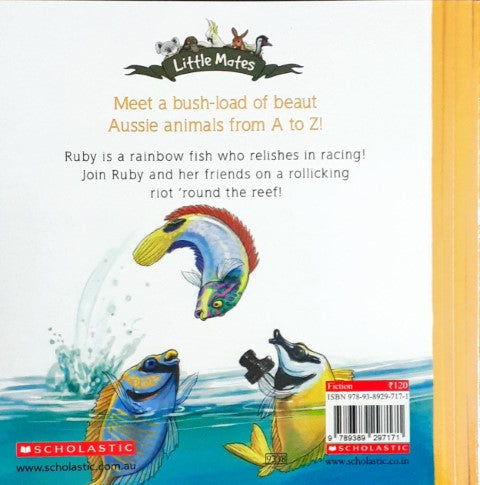 Racing Rainbow Fish - Little Mates