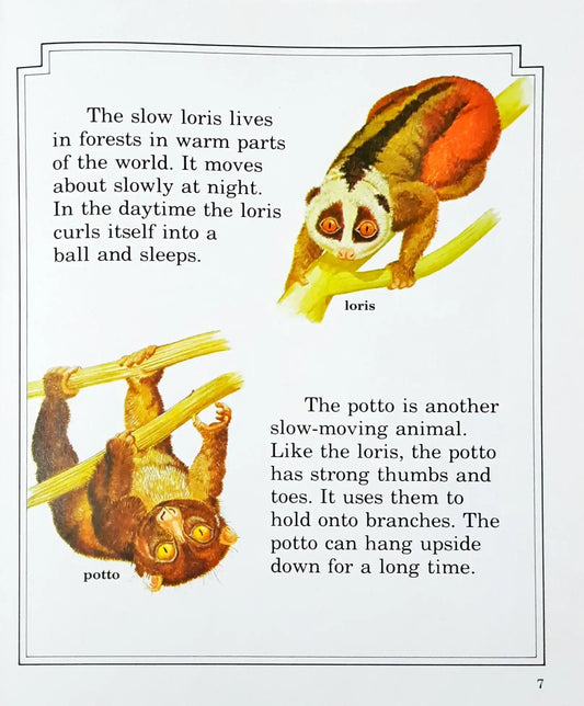 Read About Monkeys And Apes (HC) (P)