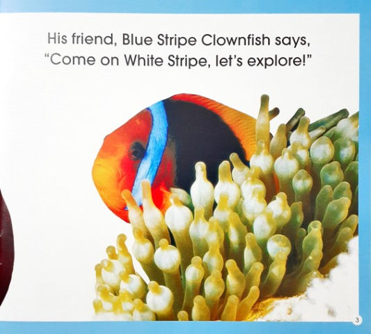Read Along Stories Clownfish's Adventure