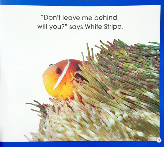 Read Along Stories Clownfish's Adventure