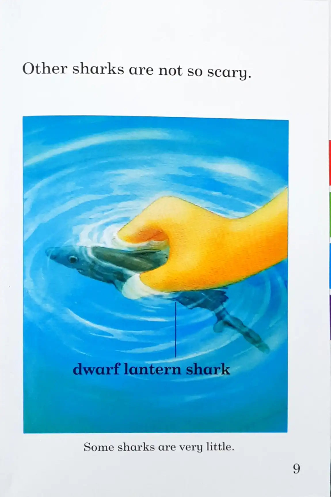 Sharks : Read It Yourself with Ladybird Level 3