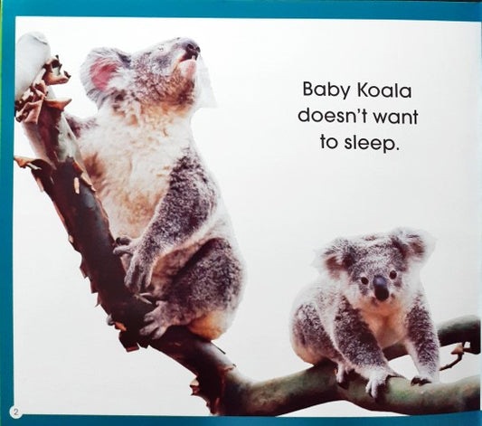 Read Along Stories Baby Koala's Bedtime