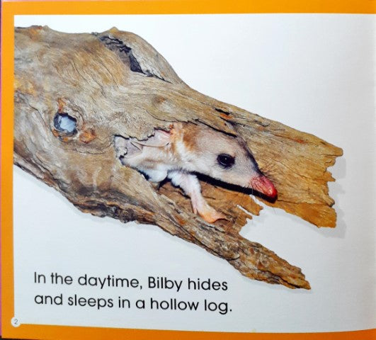 Read Along Stories Bilby's Big Ears