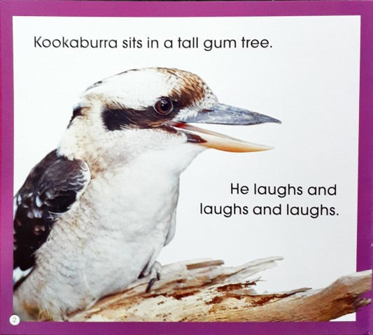 Read Along Stories Kookaburra's Loud Laugh