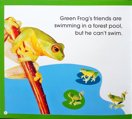Read Along Stories Green Frog's First Swim