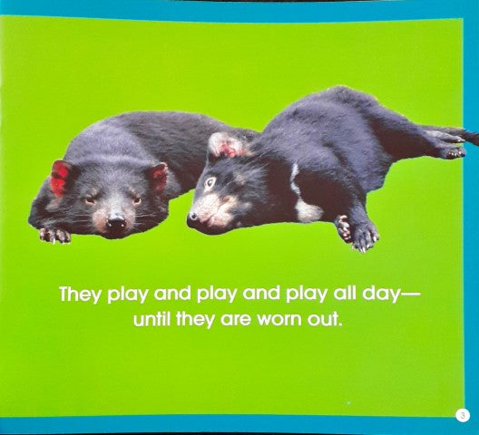 Read Along Stories Rowdy Devil's Hide & Seek