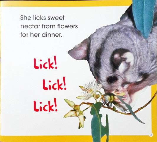 Read Along Stories Sugar Glider's First Flight