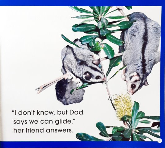Read Along Stories Sugar Glider's First Flight