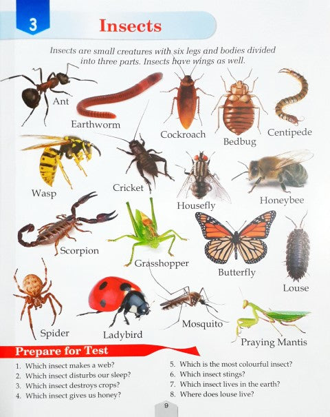 Read And Learn With Words Pictures And Questions