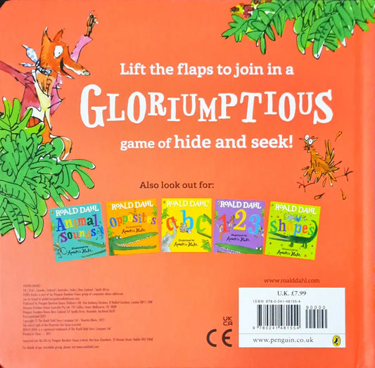 Roald Dahl : Hide and Seek - Lift The Flap