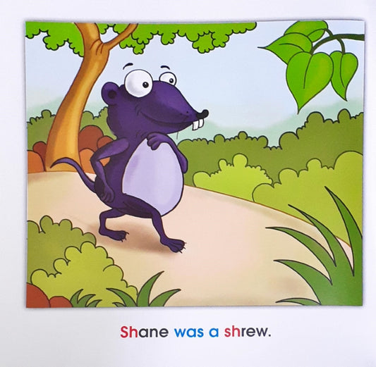 Phonics Story Time Library Shoes for Sharon