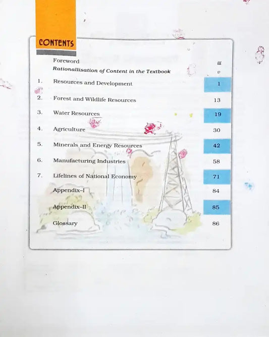 NCERT Social Science Grade 10 : Contemporary India II - Textbook in Geography
