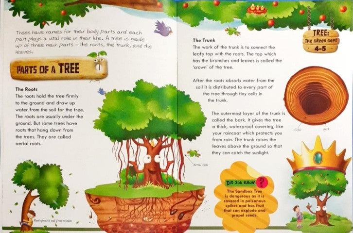 Know All About Trees: The Green Gem!