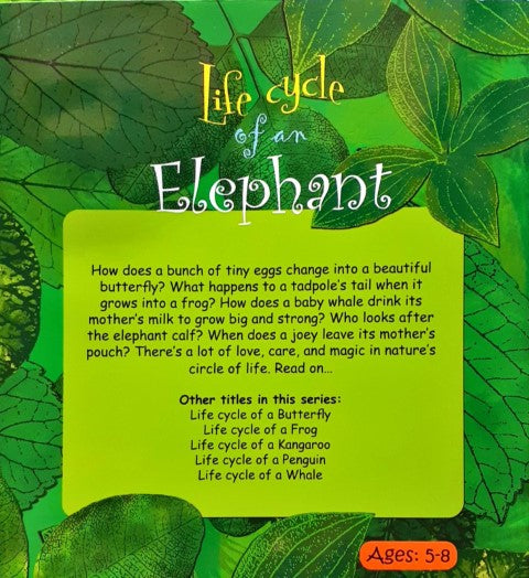 Circle of Life: Life Cycle of an Elephant